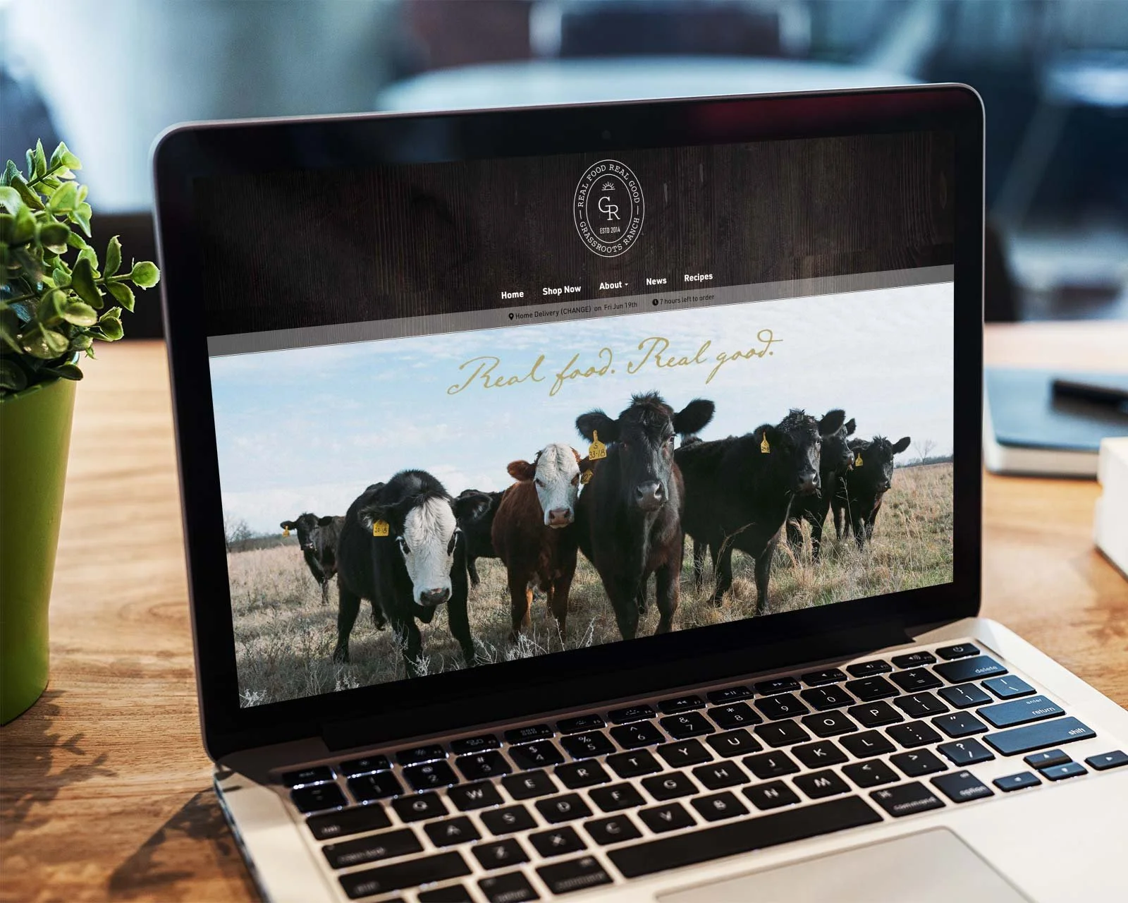 Website for Grassroots Ranch