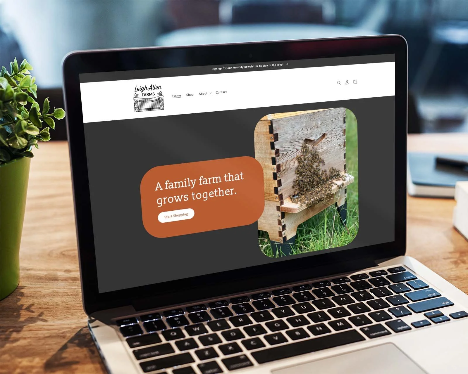 honey-farm-shopify-website-1.jpg