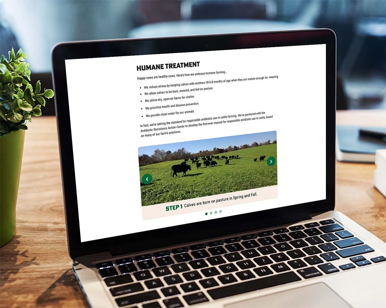indiana-farm-grazecart-website-4.jpg