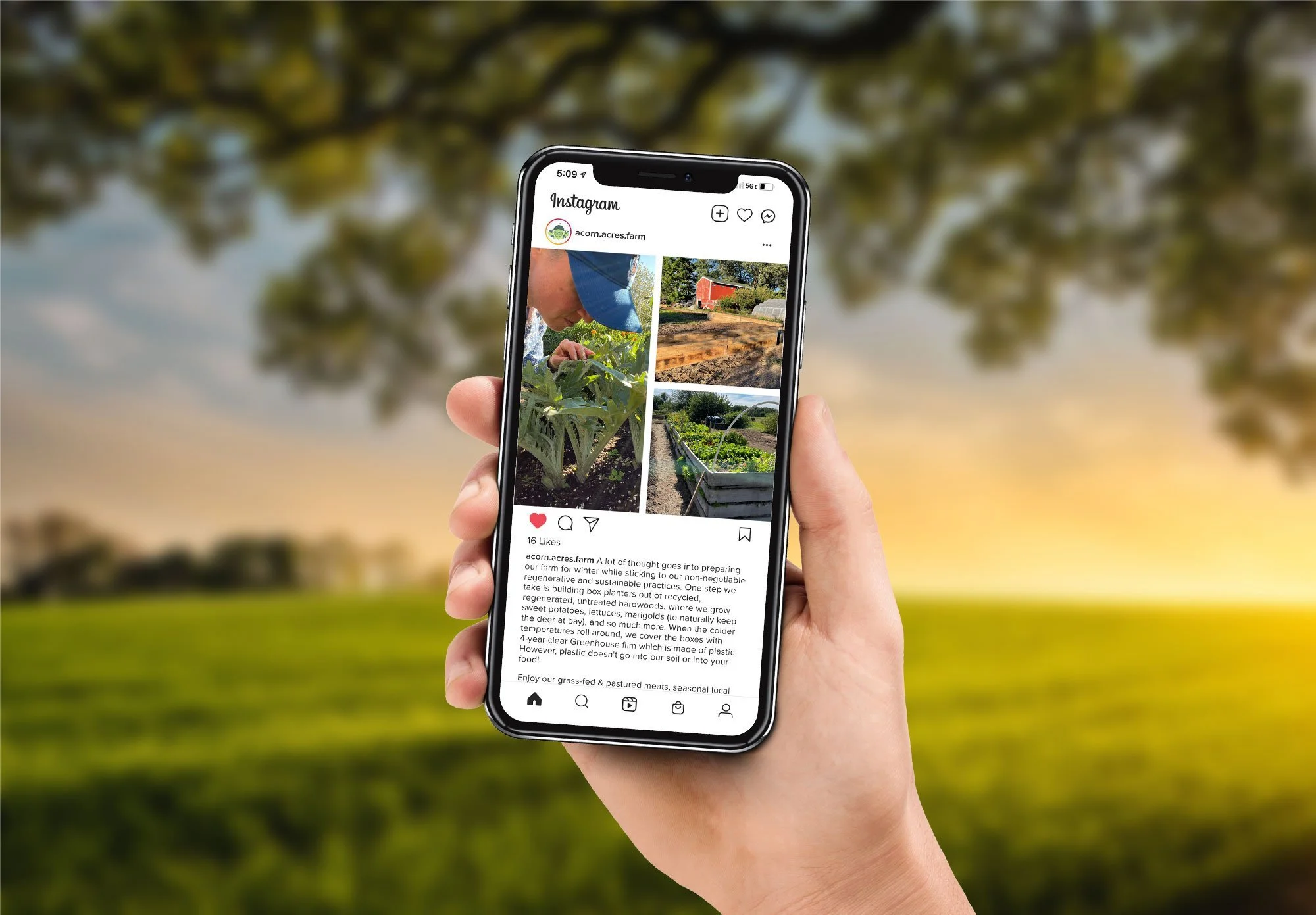 indiana-farm-Instagram.jpeg