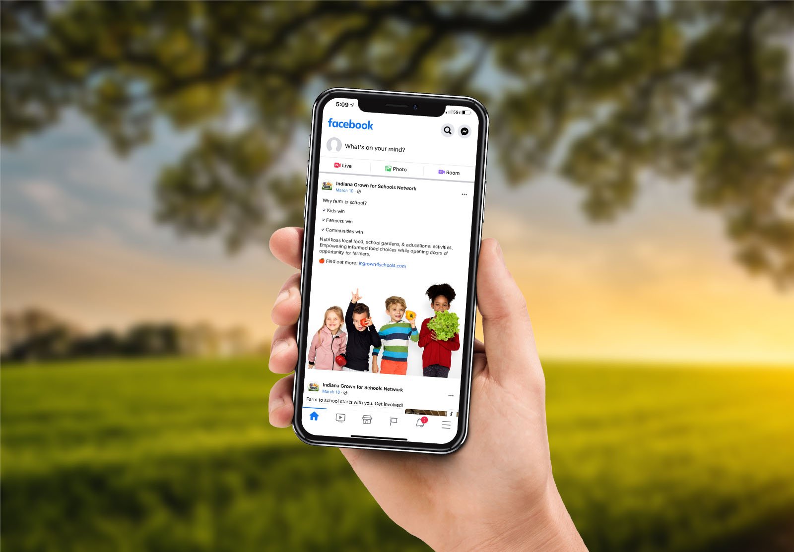 farm-to-school-social-media-ads-3.jpg
