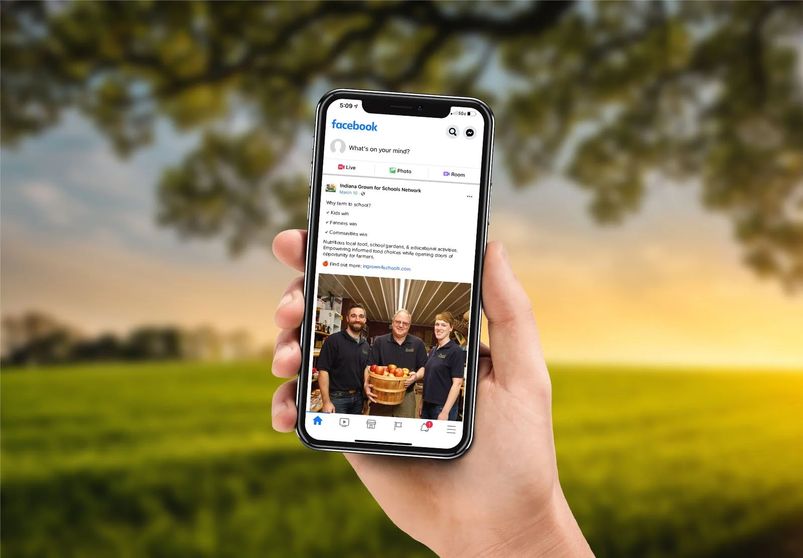 farm-to-school-social-media-ads-2.jpg