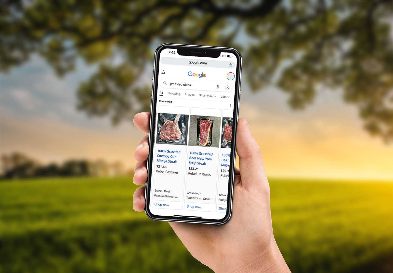 google-shopping-for-farms.jpg