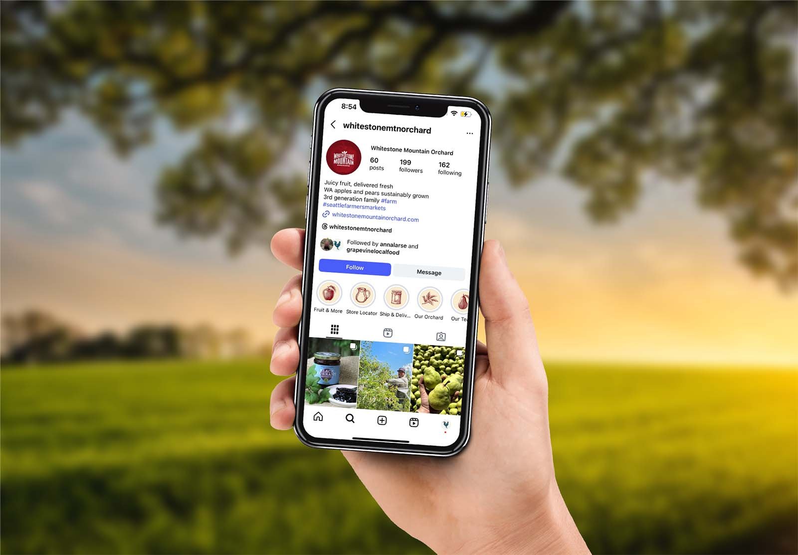 Instagram Highlights for Whitestone Mountain Orchard