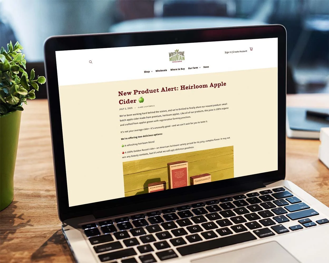 orchard-social-media-marketing-5.jpg