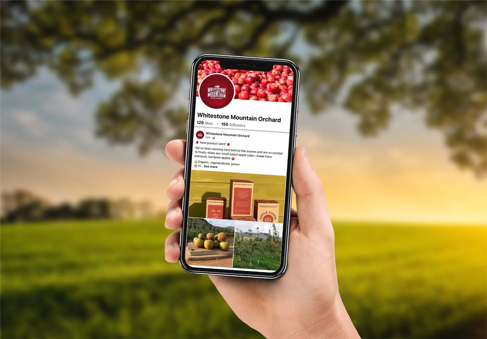 orchard-social-media-marketing-2.jpg
