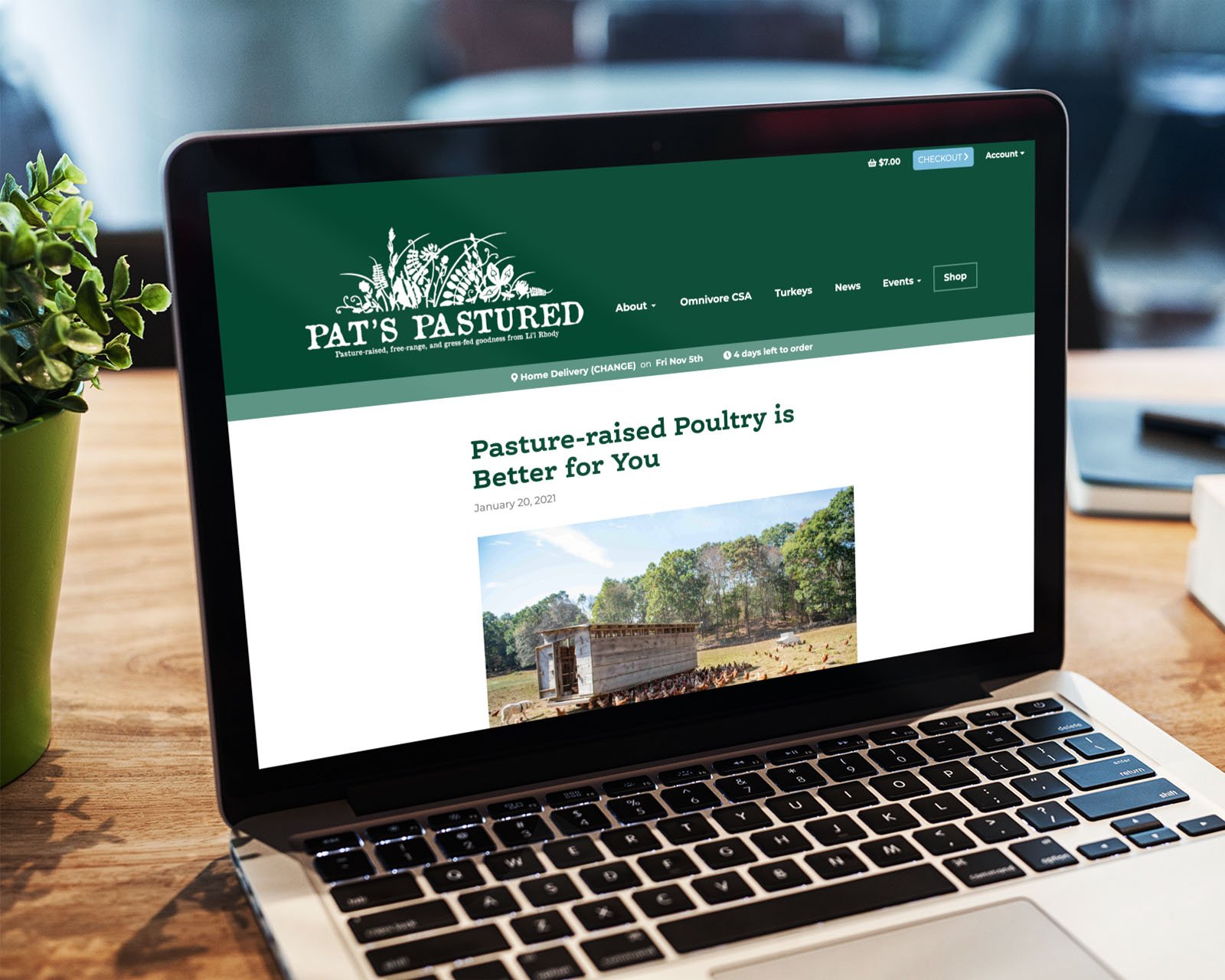 pats-pastured-farm-weekly-updates.jpg