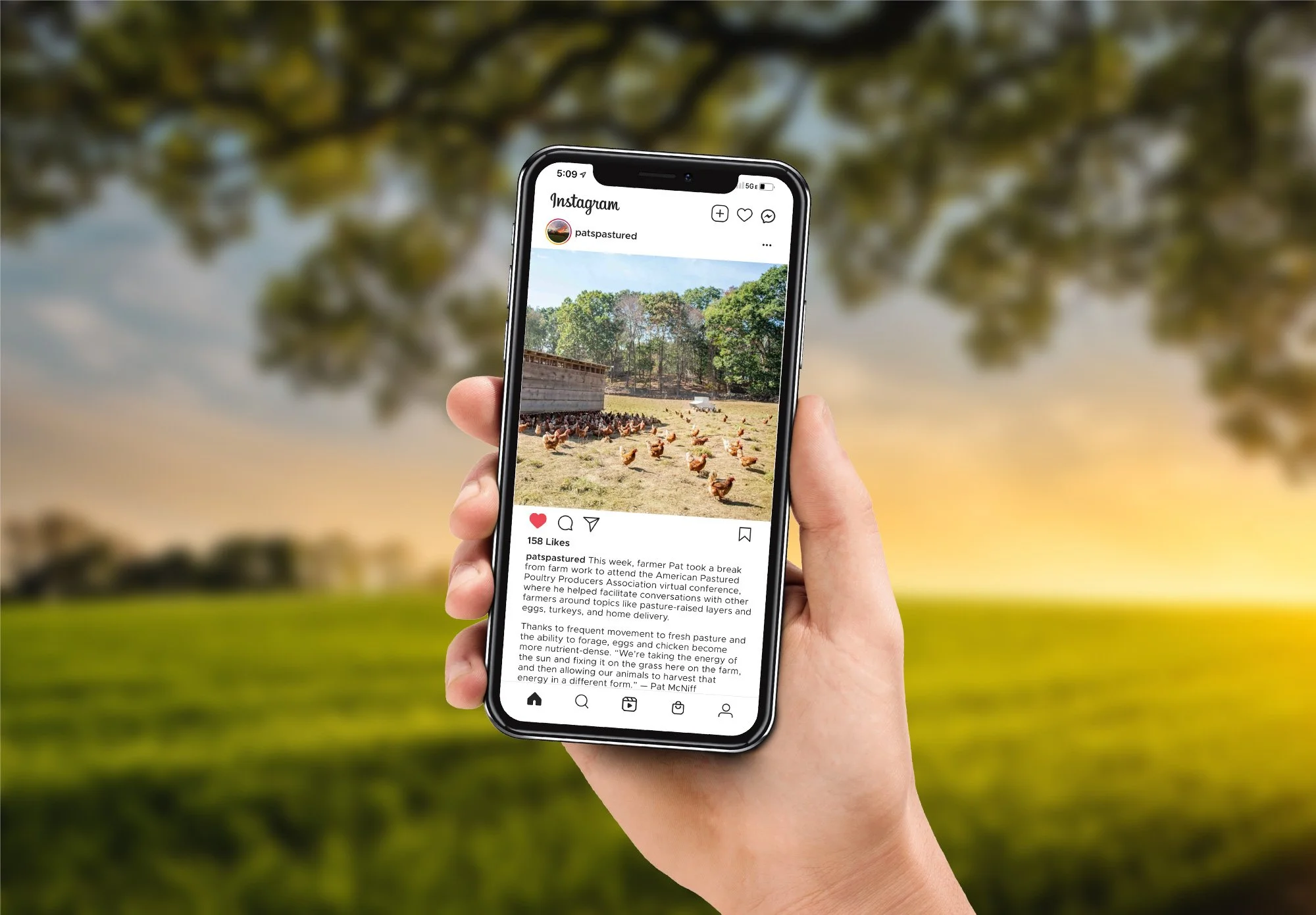 instagram-advertising-pastured-meat-farm.jpg