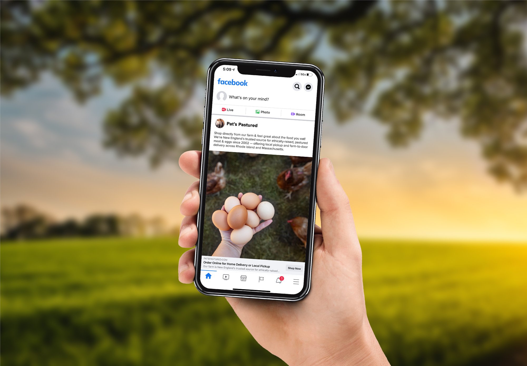 pats-pastured-social-ads-by-interest-1.jpg