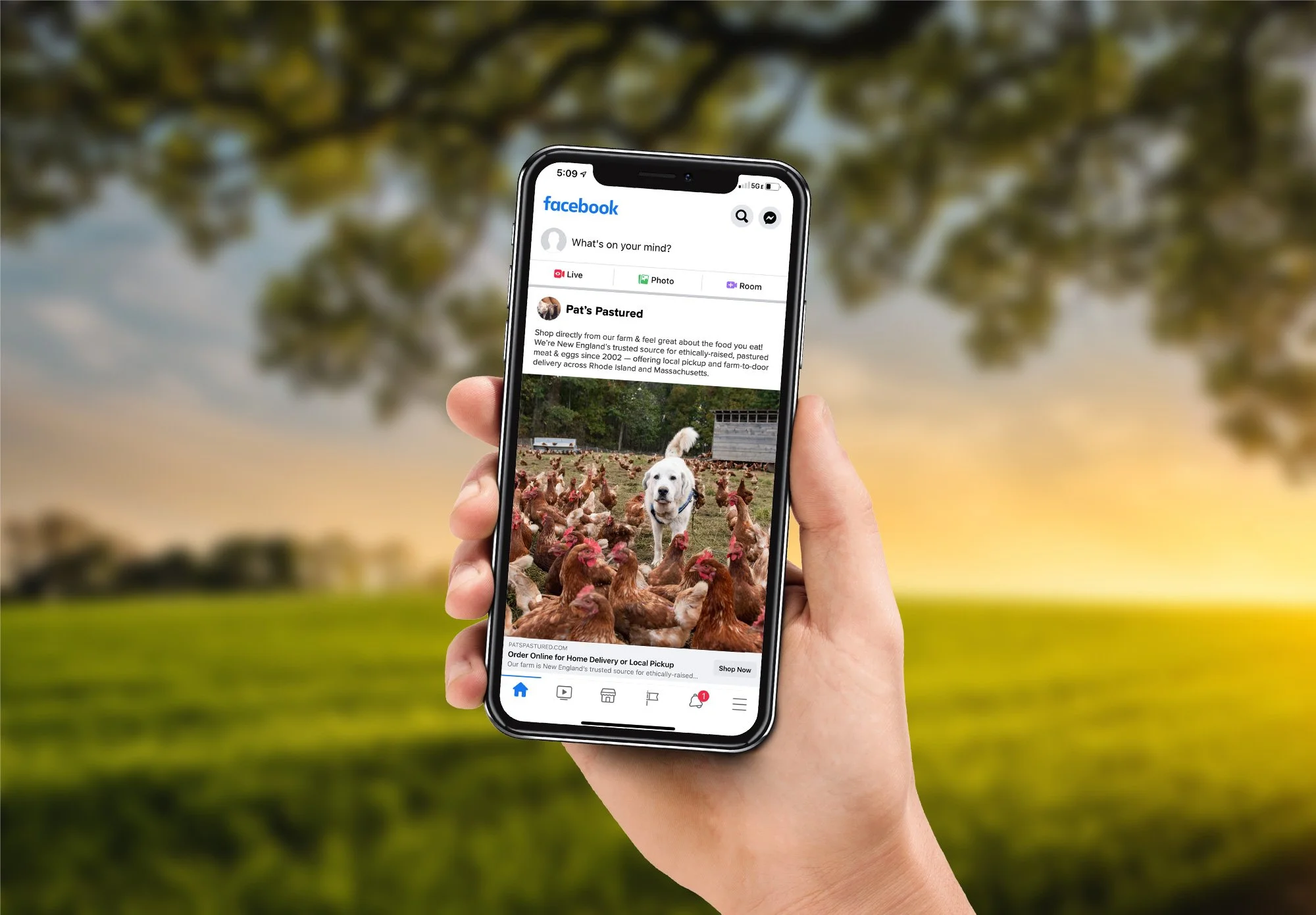 pats-pastured-social-ads-for-shoppers-1.jpg