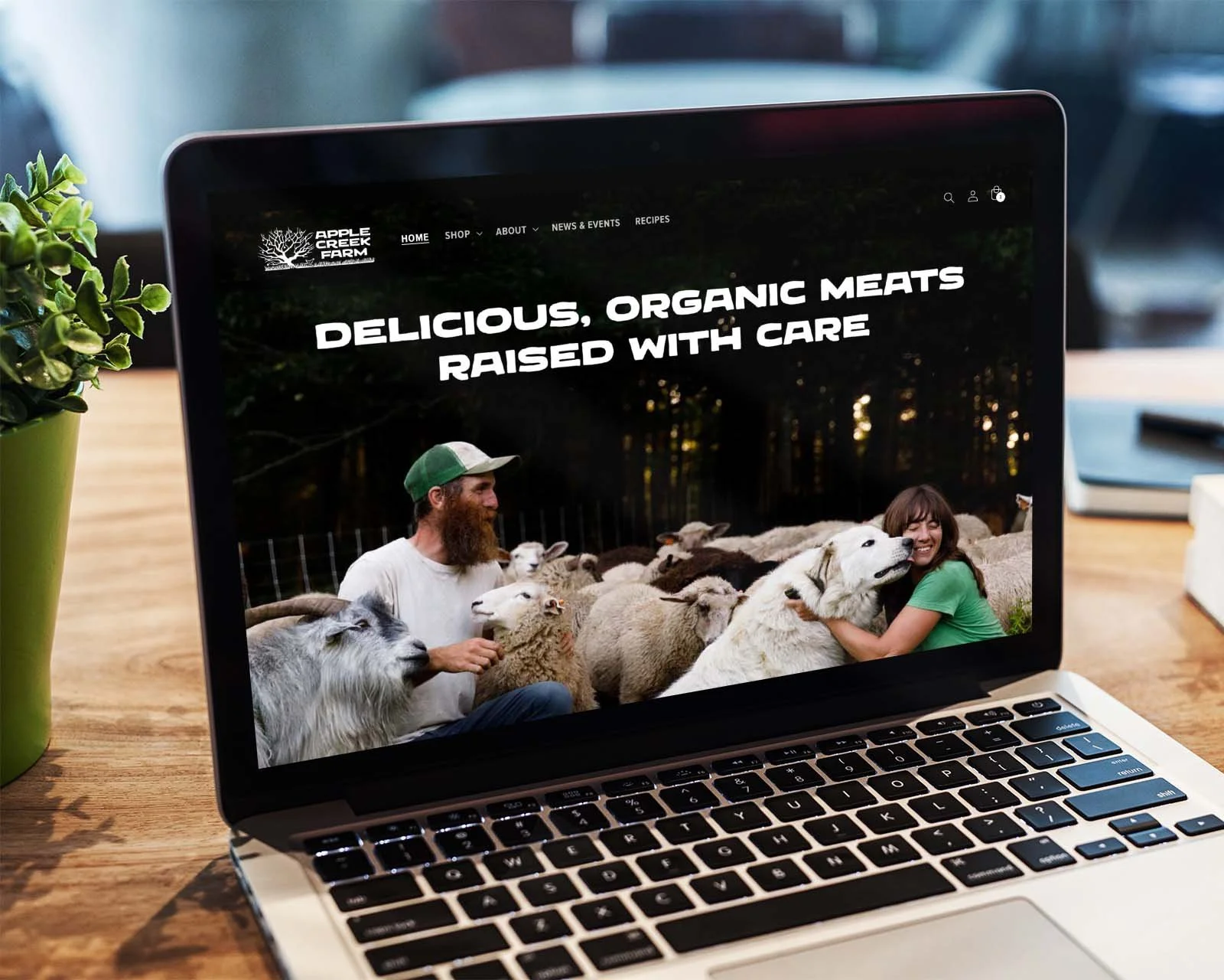 shopify-farm-website-1.jpg