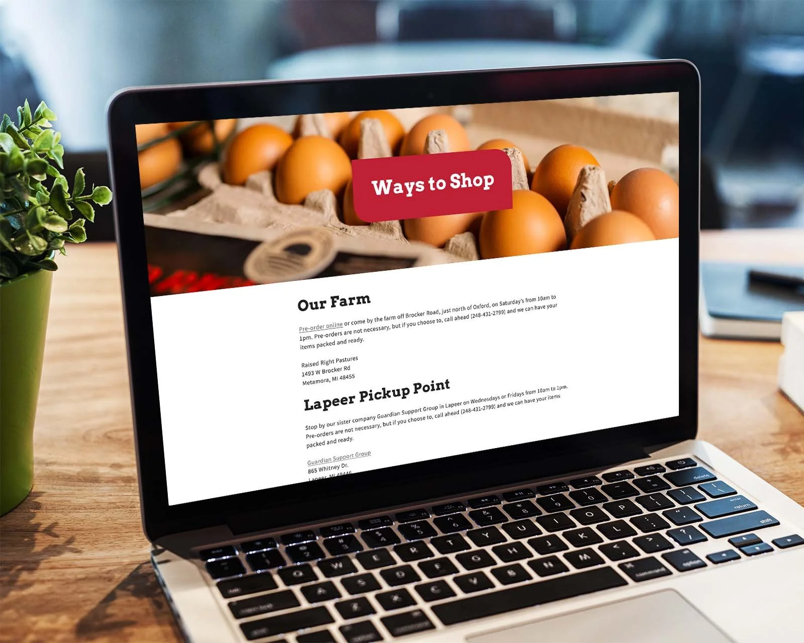 egg-farm-shopify-website-2.jpg