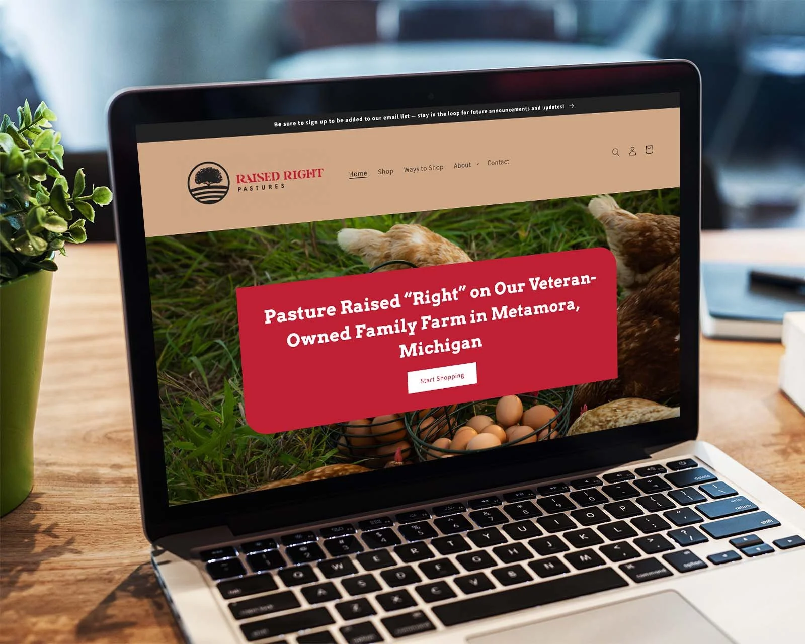 Website for Raised Right Pastures