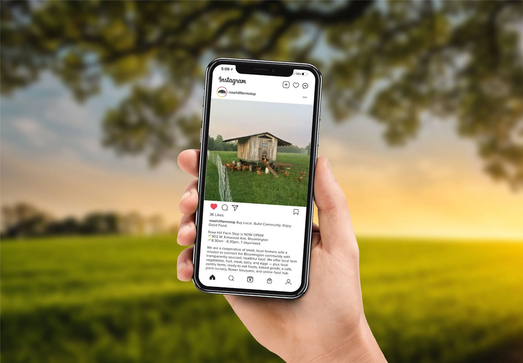 coop-market-instagram-ads.jpg