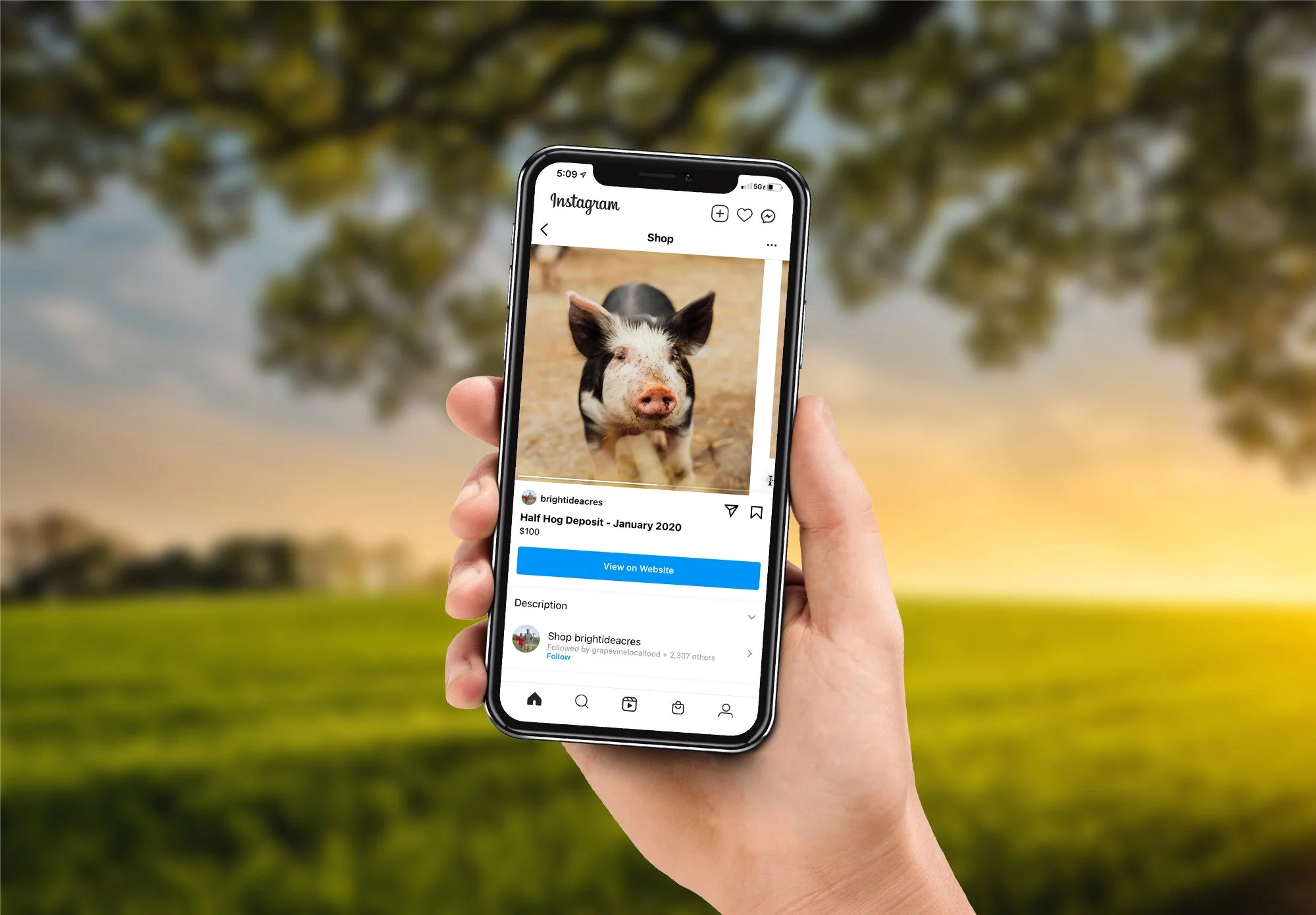 ethical-meat-farm-square-website-design-4.jpg