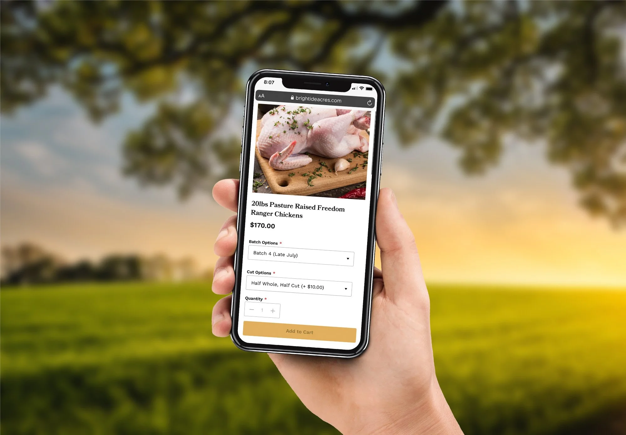 ethical-meat-farm-square-website-design-3.jpg