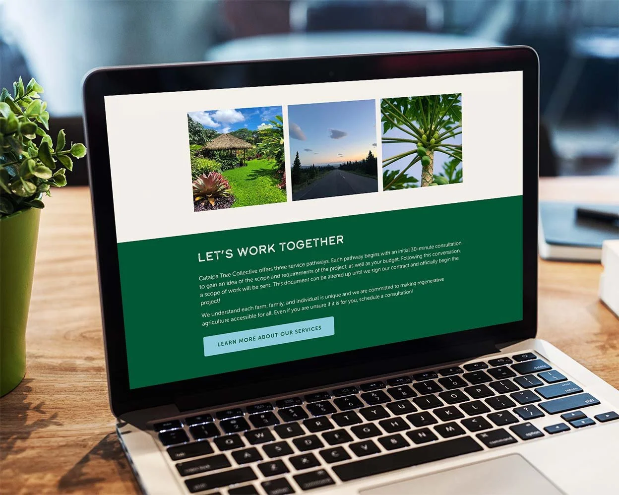 squarespace-website-for-regenerative-ag-2.jpg