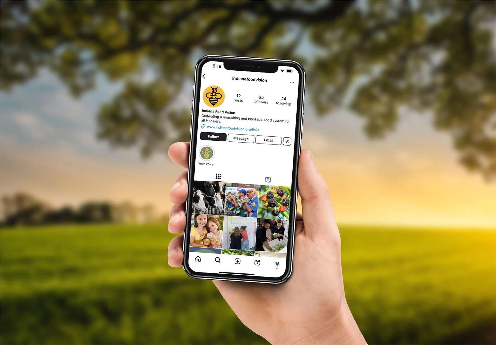 indiana-food-social-media-2.jpg
