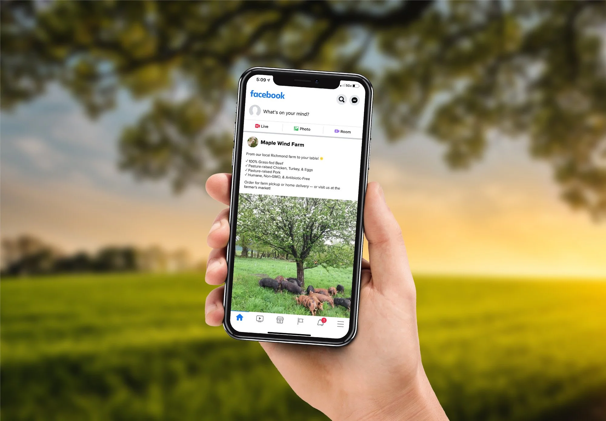 maple-wind-farm-social-ads-1.jpg