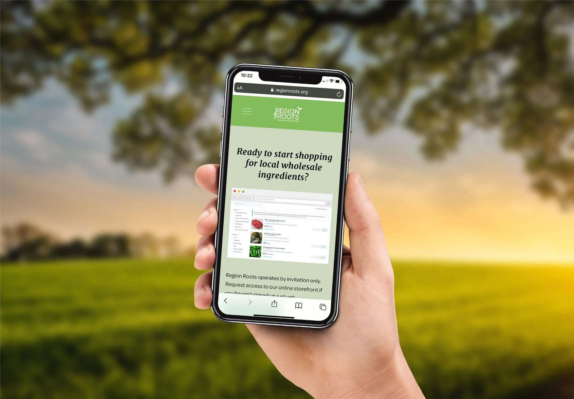 food-hub-landing-page-mobile.jpg