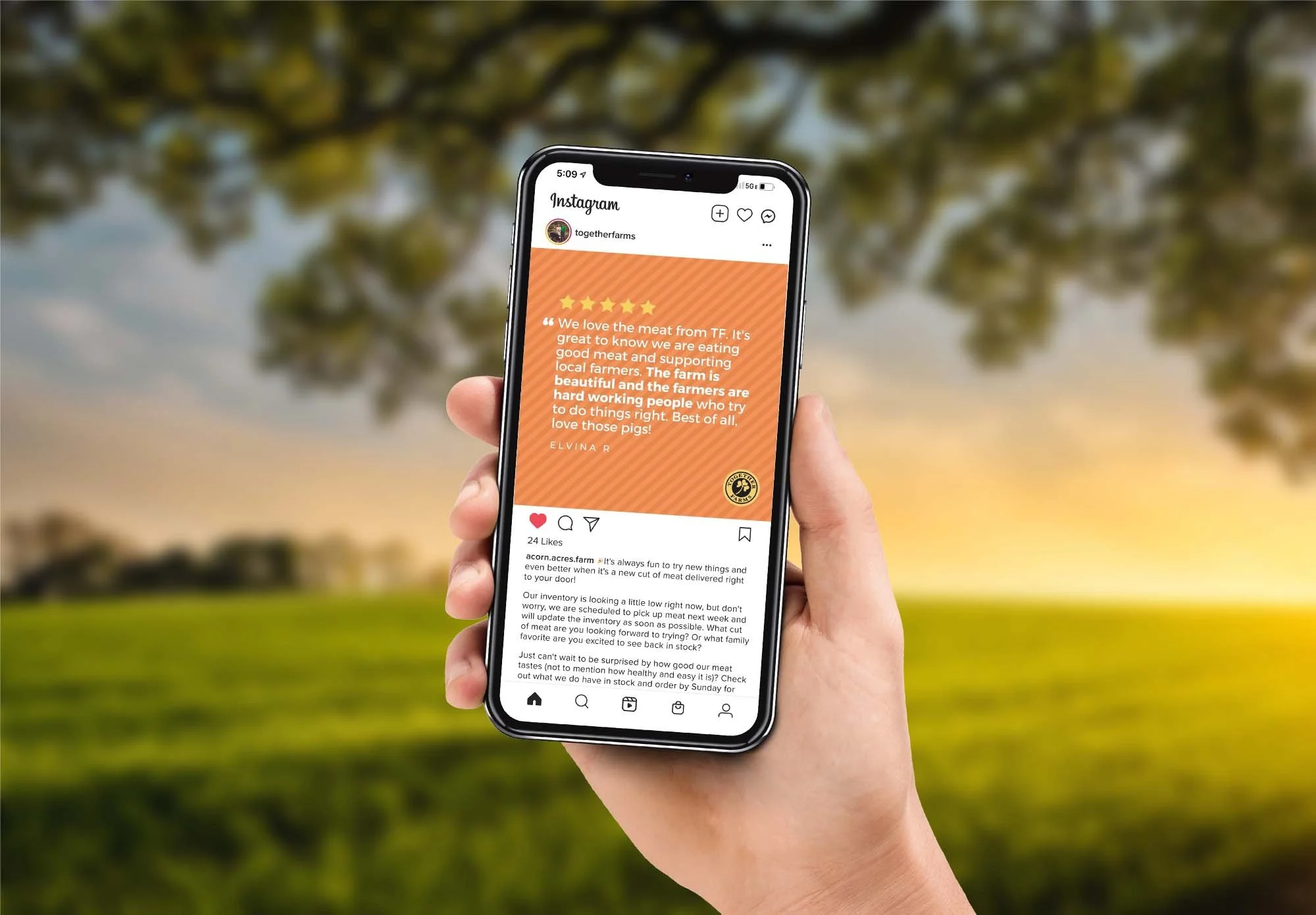 together-farms-instagram-post-design-2.jpg