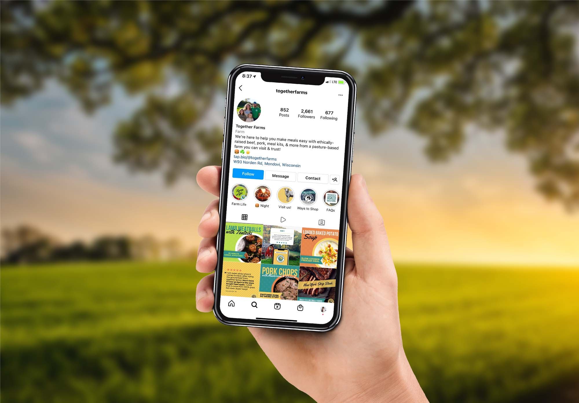 together-farms-instagram-post-templates.jpg