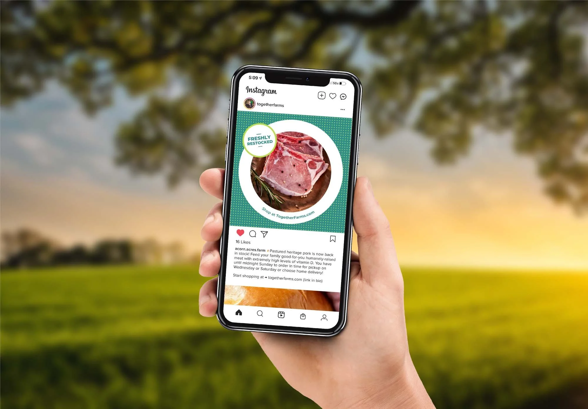 together-farms-instagram-post-design.jpg