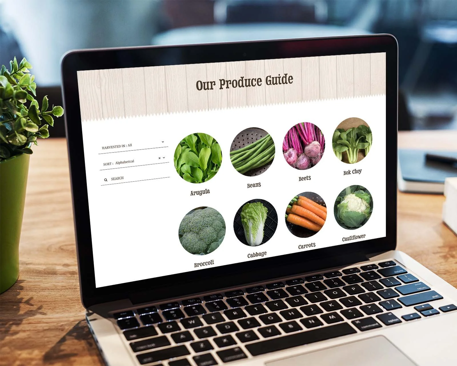 wisconsin-produce-farm-website-3.jpg