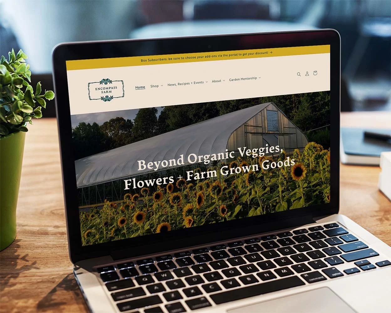 north-carolina-farm-website-1.jpg