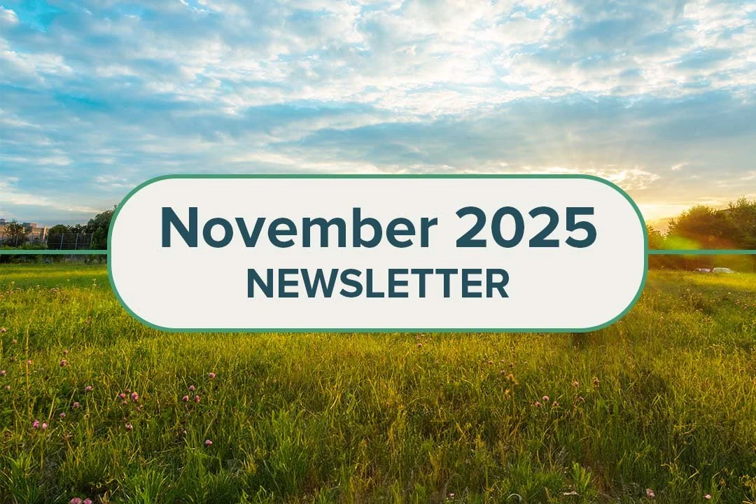 November 2025 Farm Marketing News