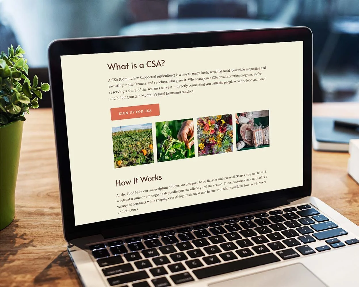 montana-food-hub-website-4.jpg
