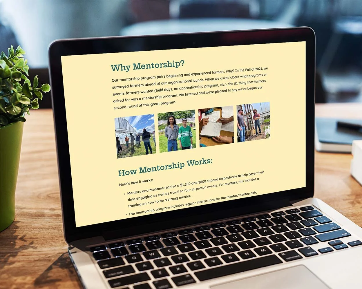 food-nonprofit-website-design-2.jpg