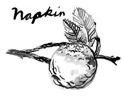 Napkin LLC Consulting