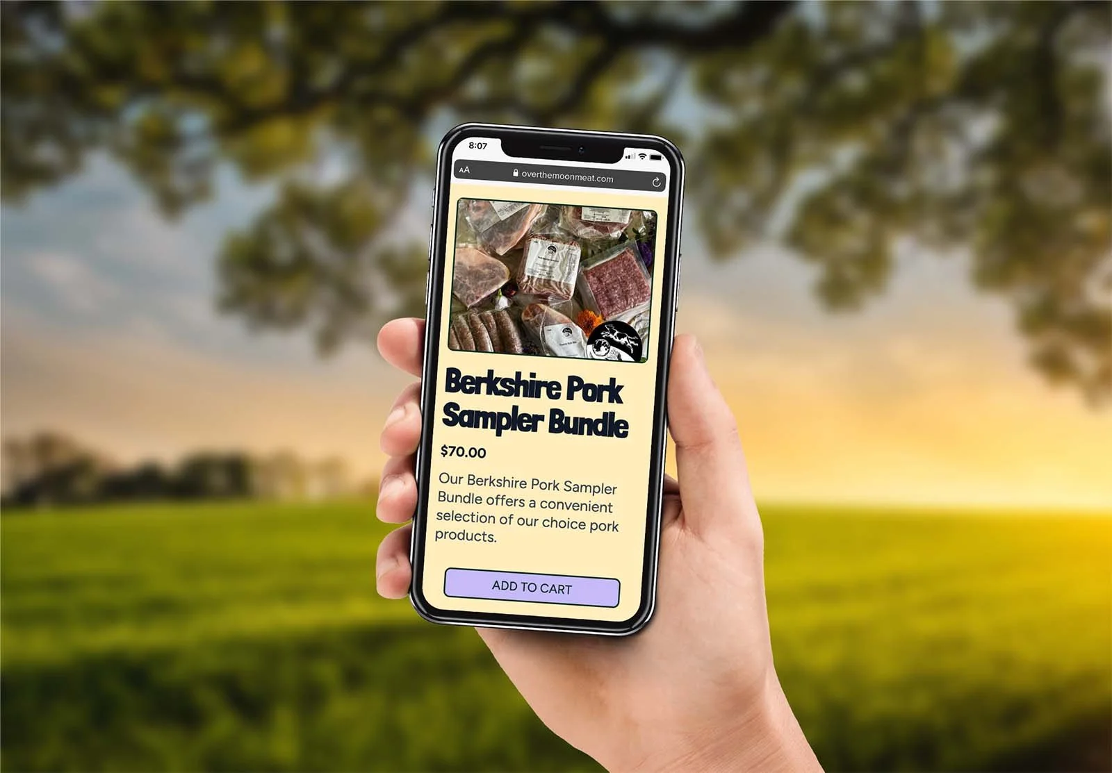 iowa-farm-website-4.jpg