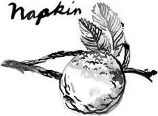 Napkin LLC Consulting