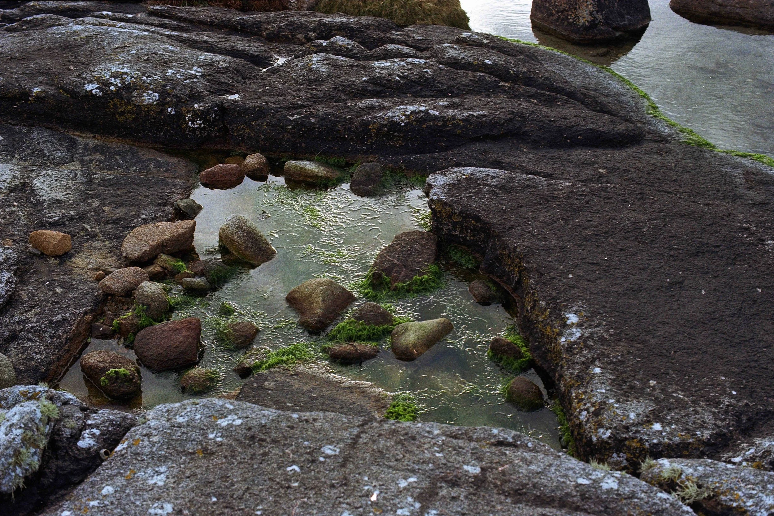 Untitled (3) (3) (13).jpg