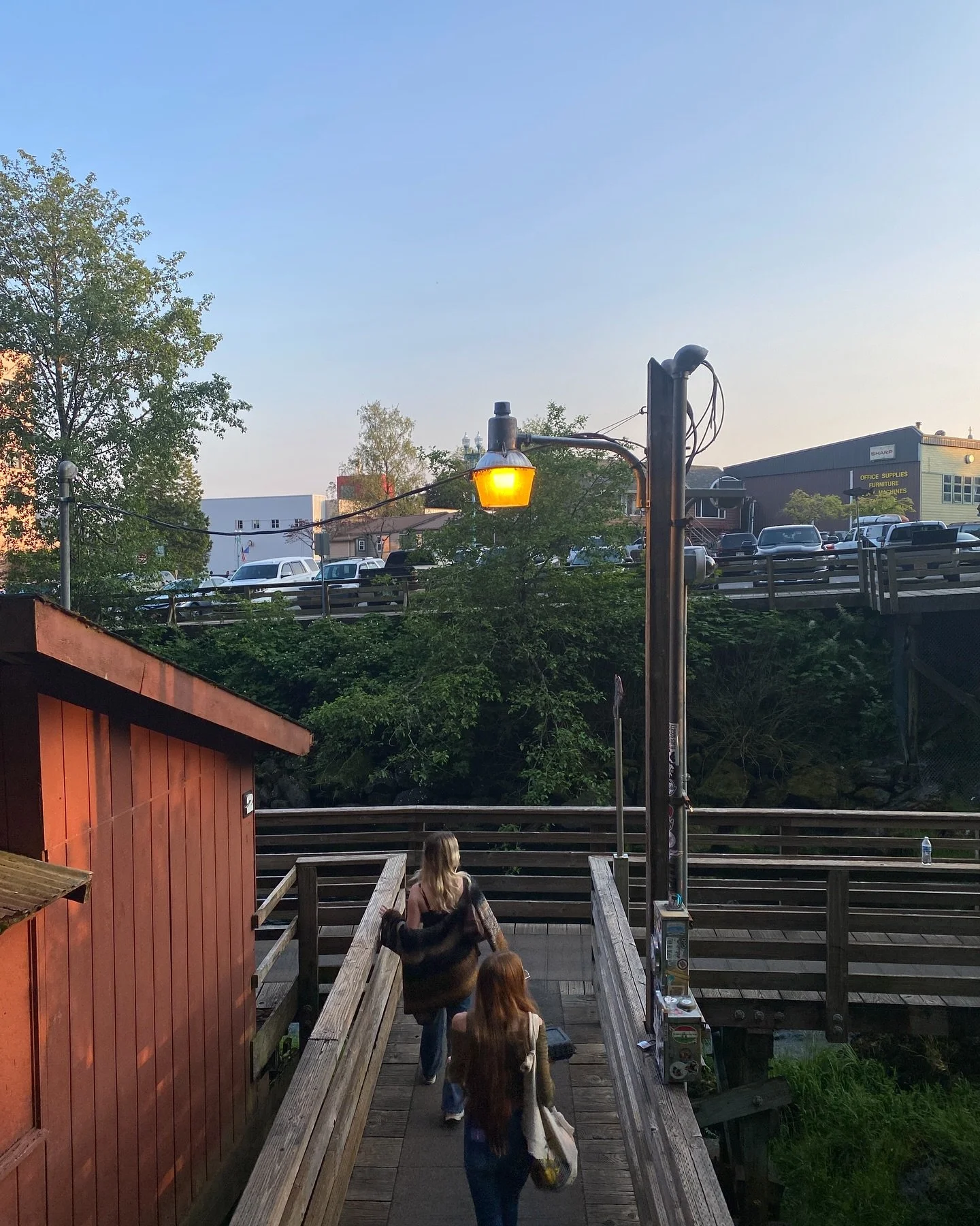 Back in Alaska 🏔️