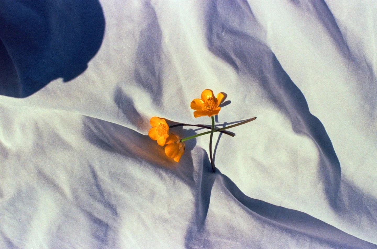 Going to be posting some photos from last summer in Alaska! 

More on my website :)