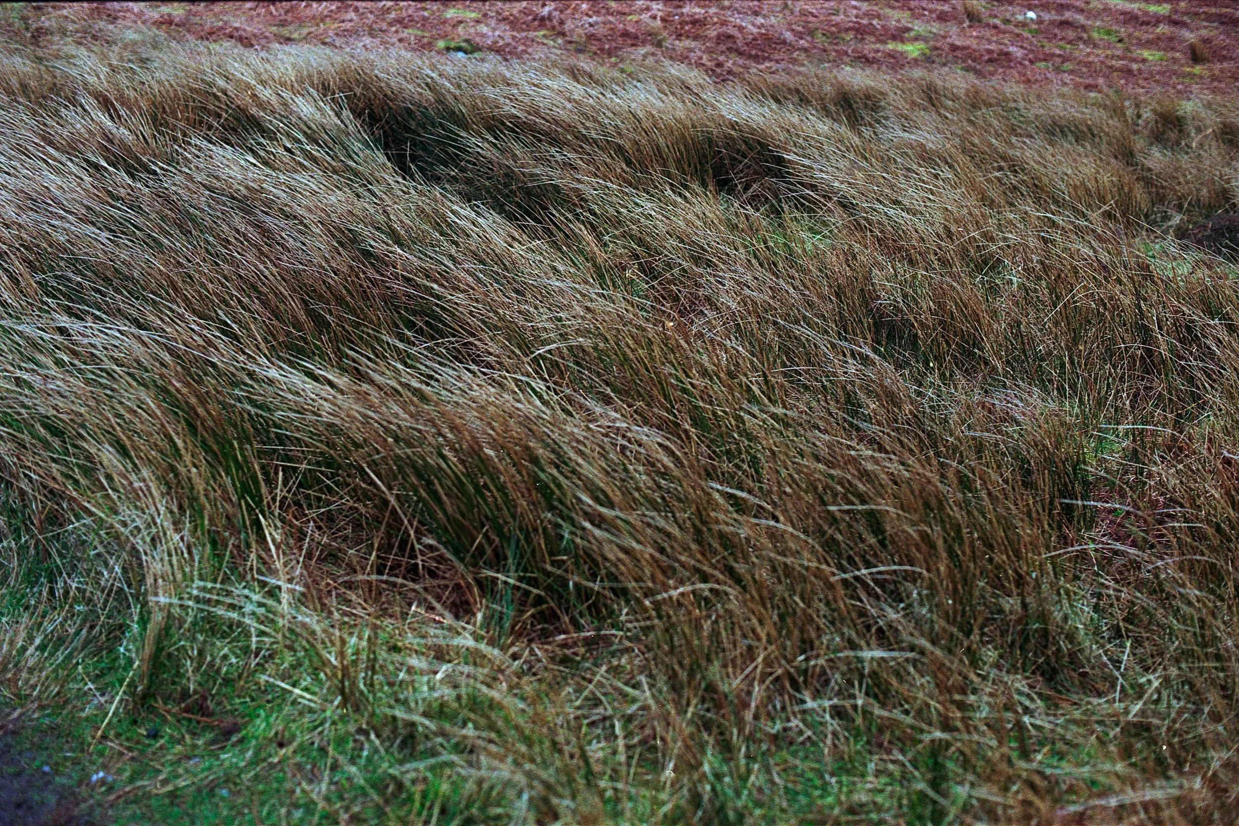 Untitled (3) (3) (3) (2) (10).jpg