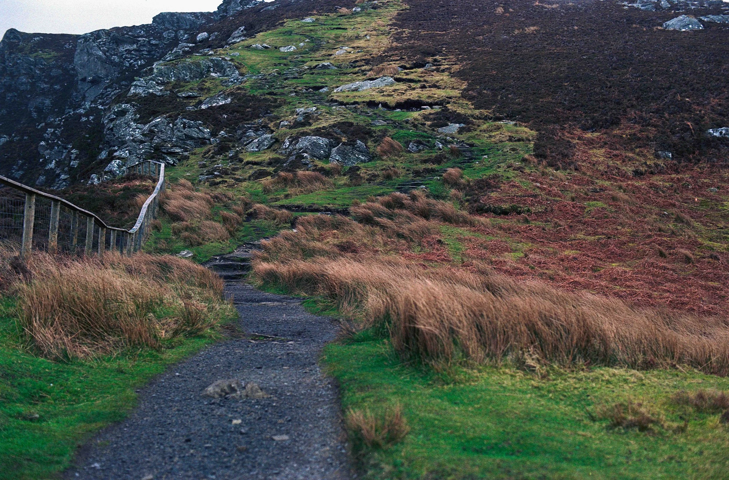 Untitled (3) (21).jpg