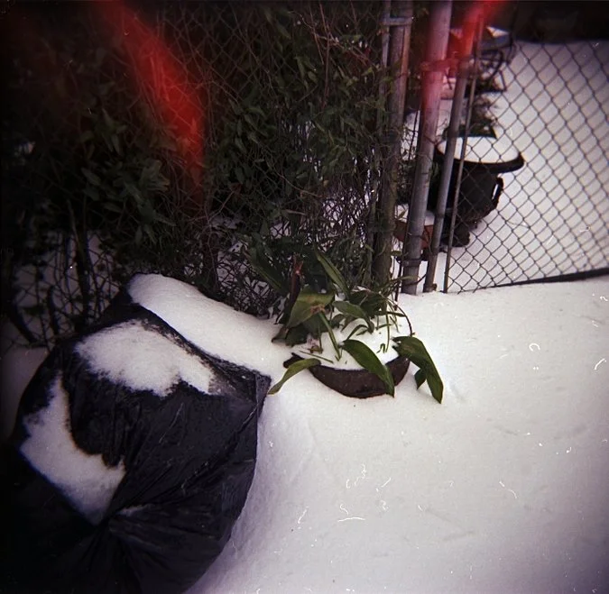 PHOT114_project1 (2) (4).jpg