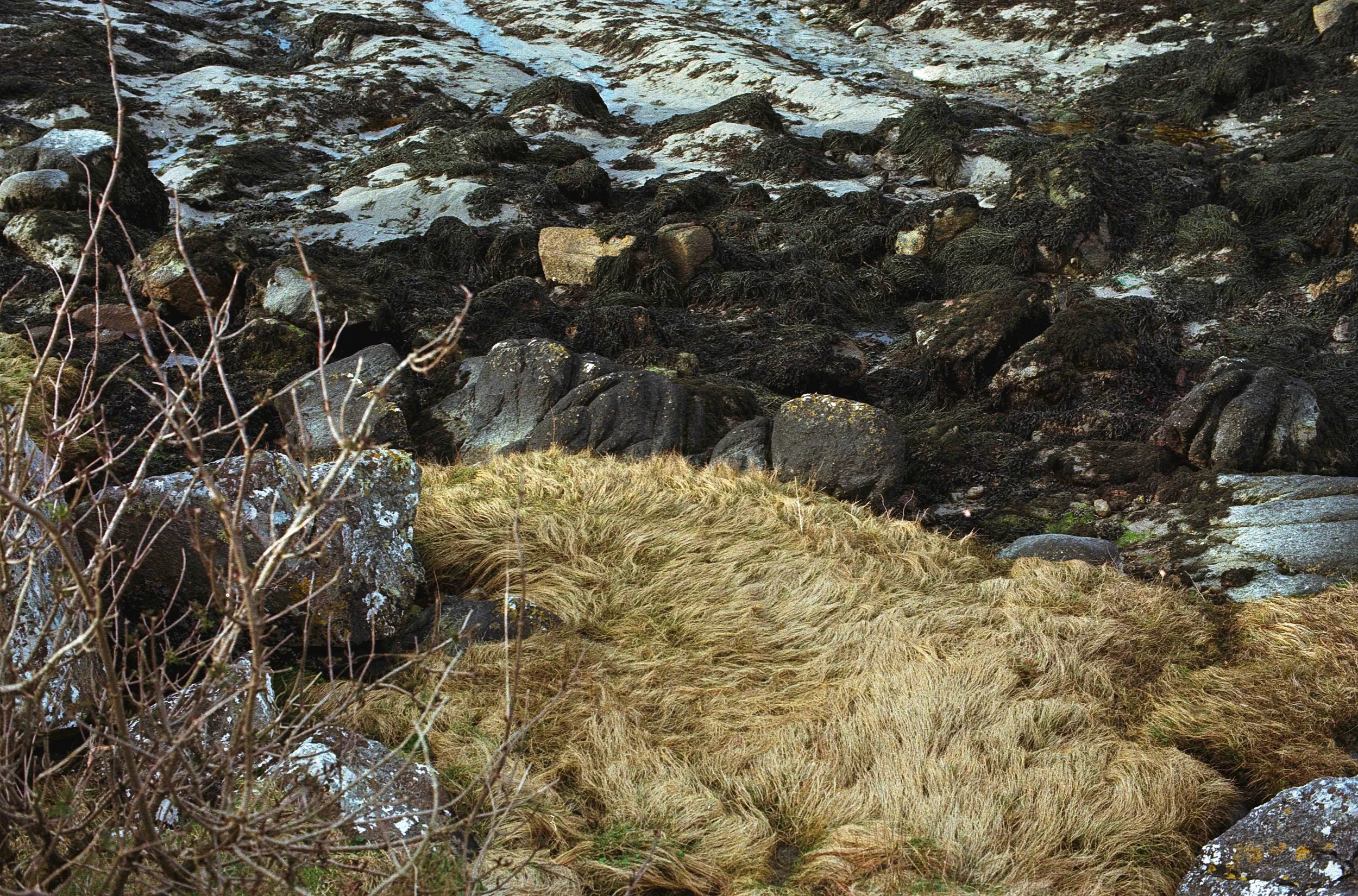 Untitled (3) (3) (3) (9).jpg