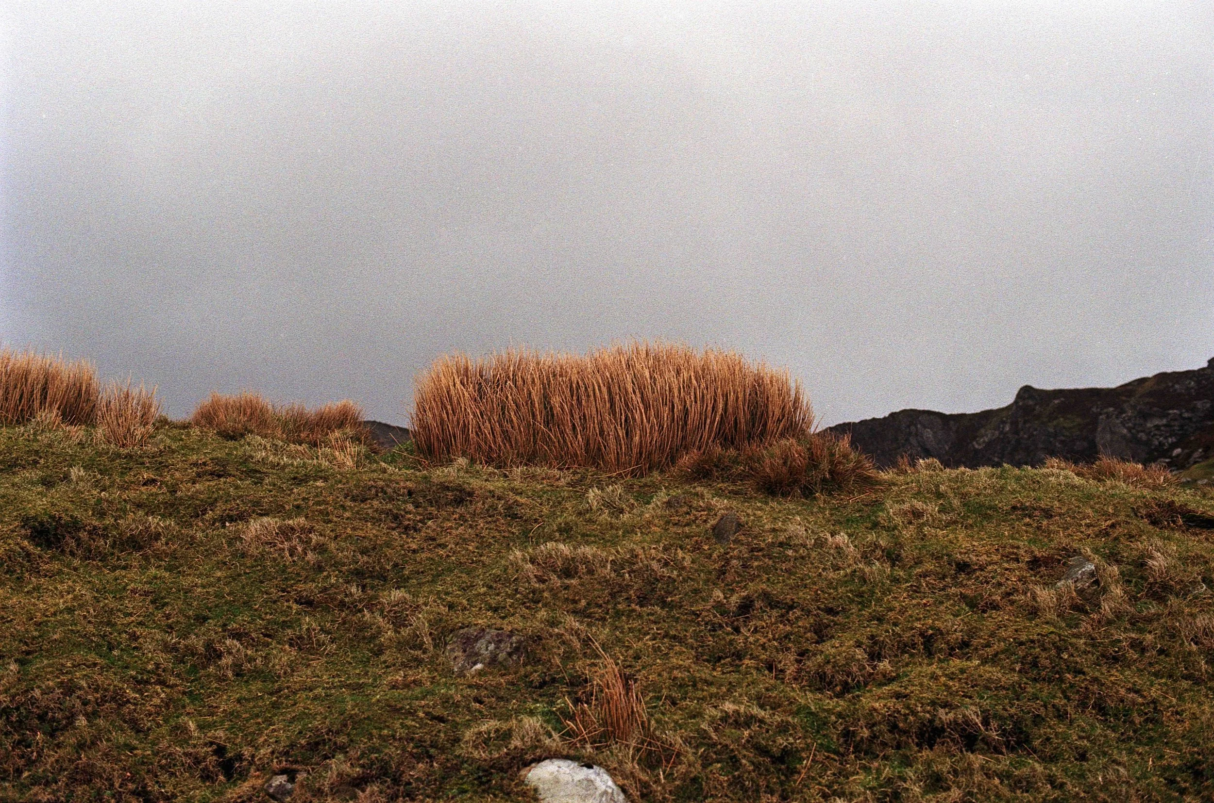 Untitled (4) (4) (2).jpg