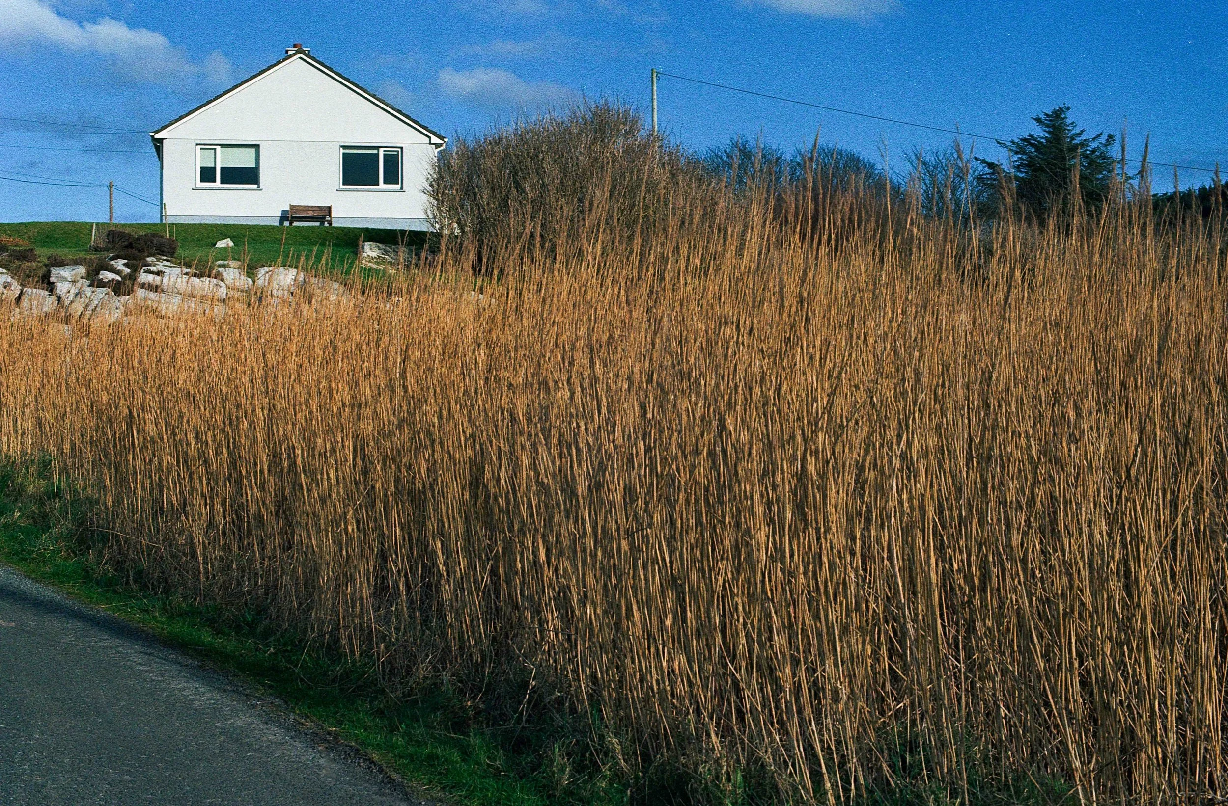 Untitled (3) (20).jpg