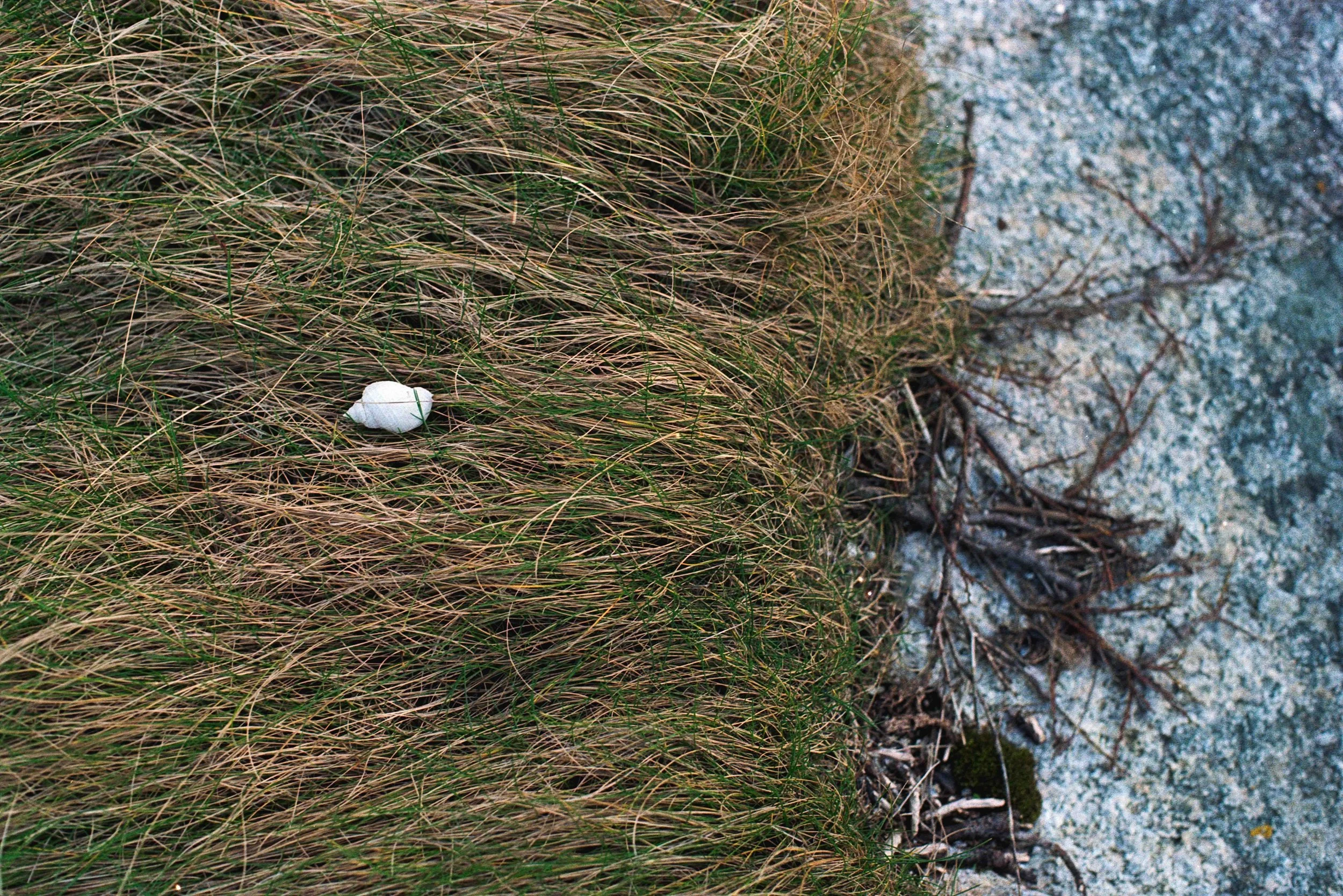 Untitled (3) (3) (2) (9).jpg