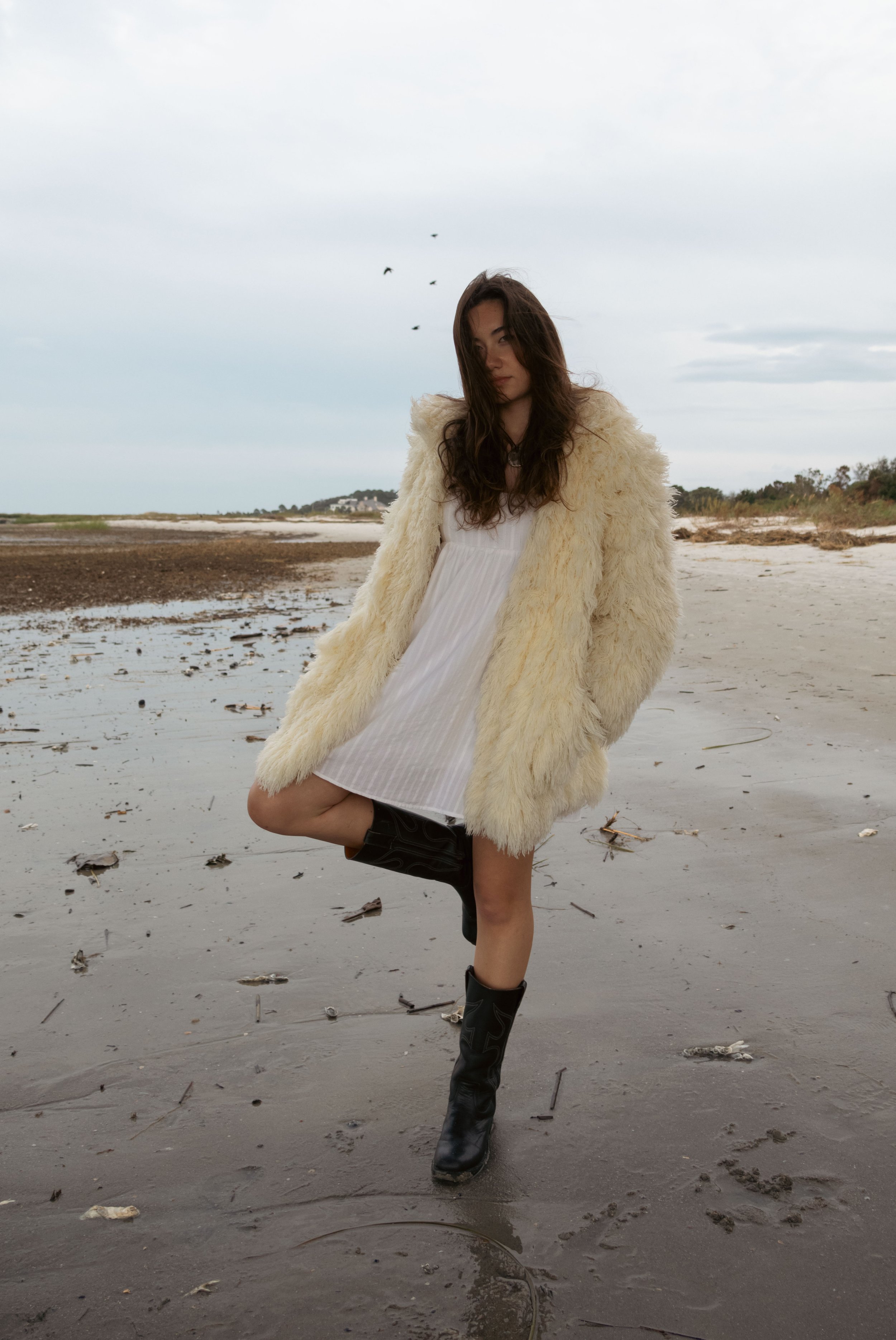 Document Name 222_1.jpg