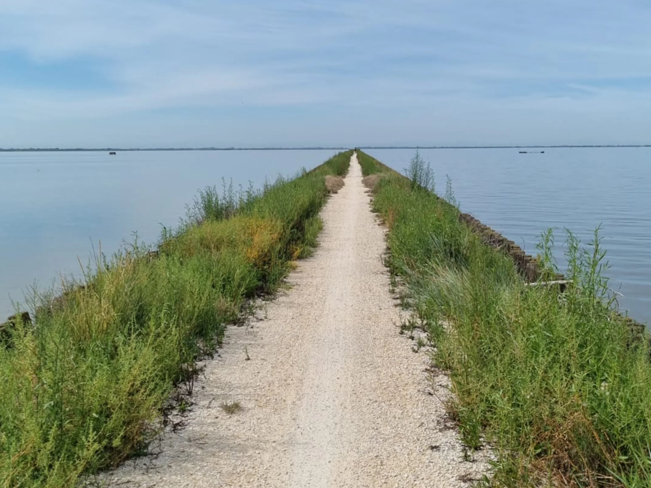 Cyclotourism in Romagna