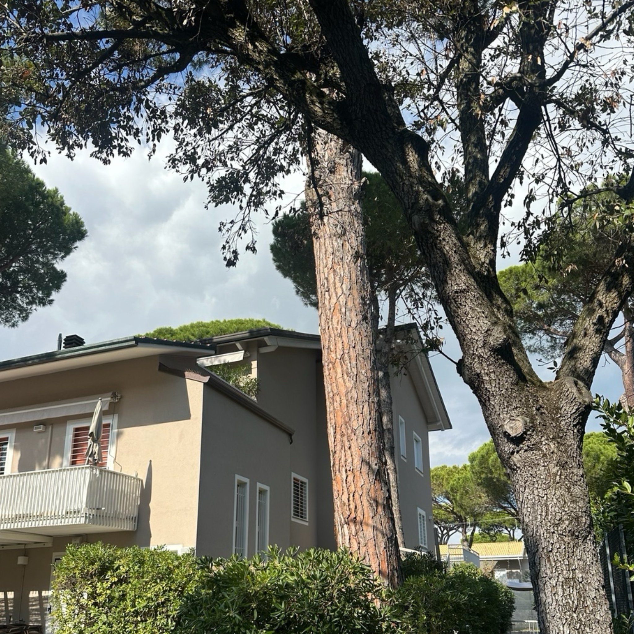 Il Tasso - Outside view