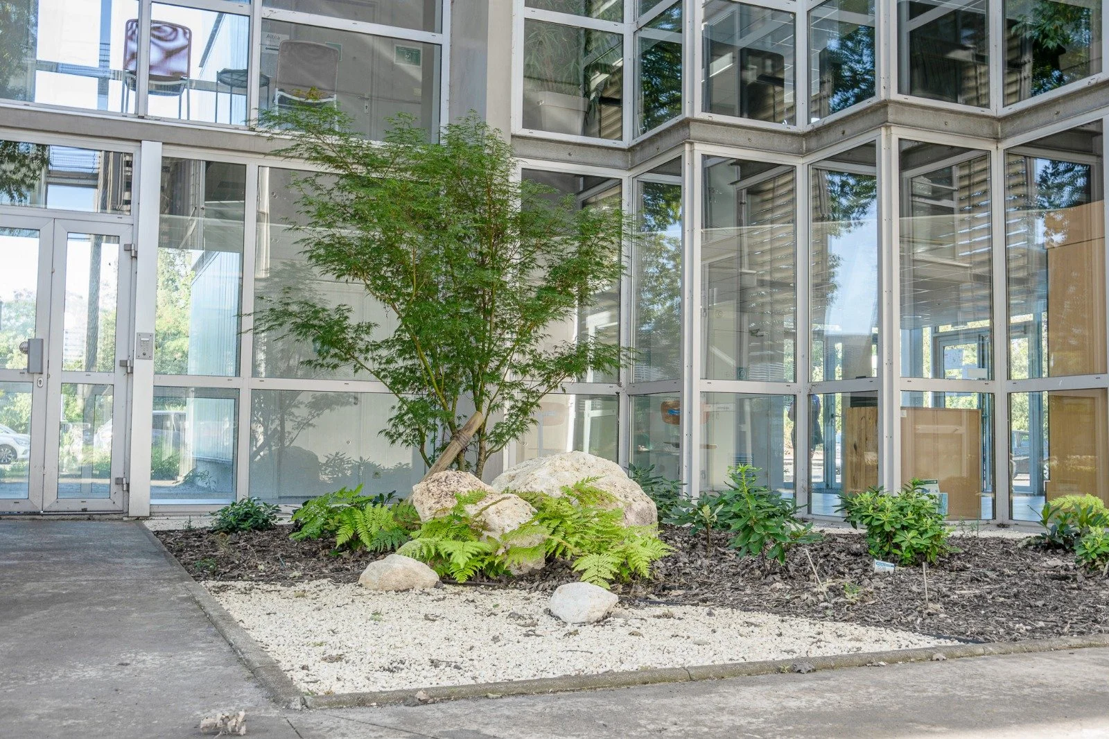 WhatsApp Image 2025-10-16 at 17.18.44.jpeg