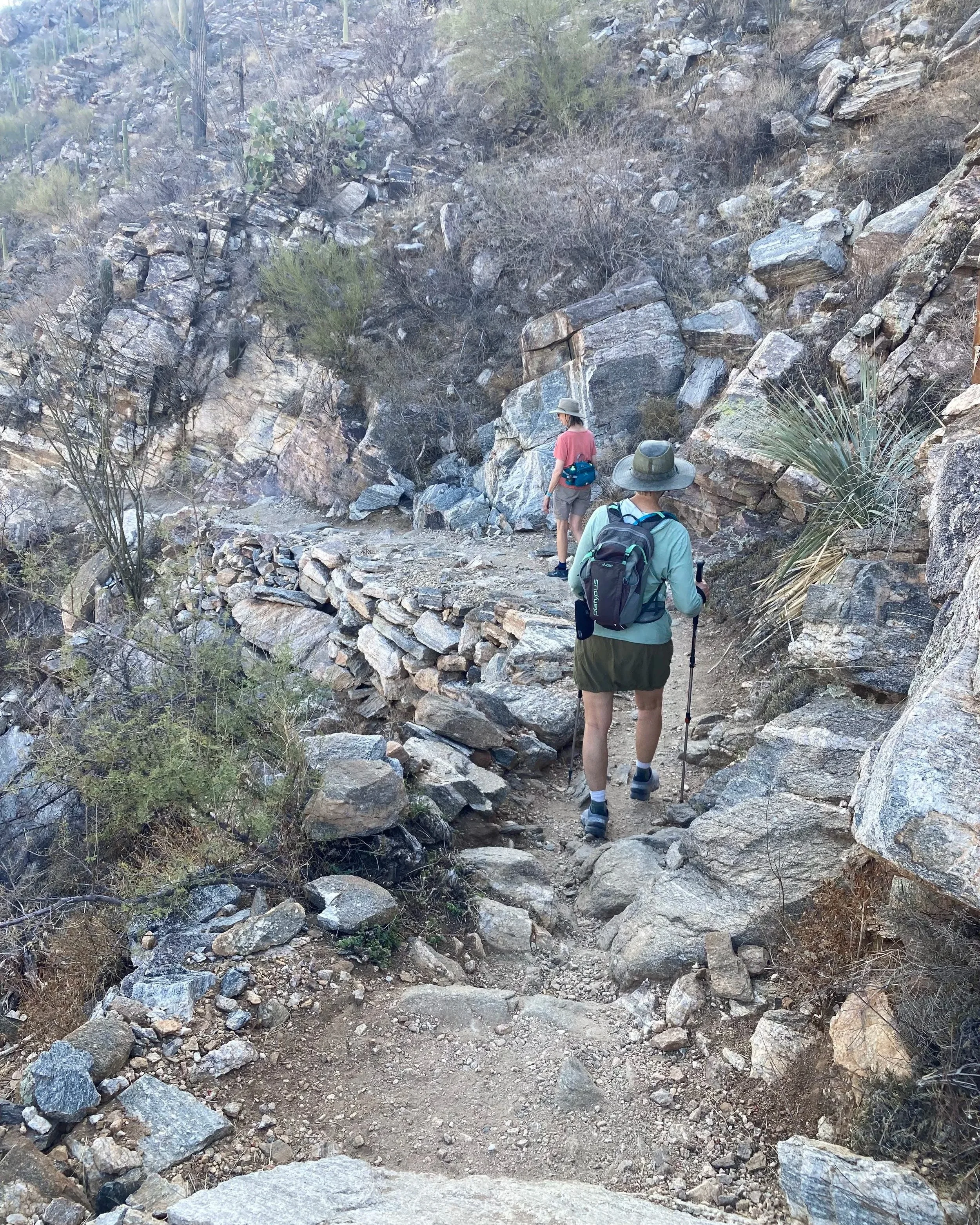 Two hikers walking along a rocky desert trail, surrounded by dry bushes and desert plants on steep terrain.